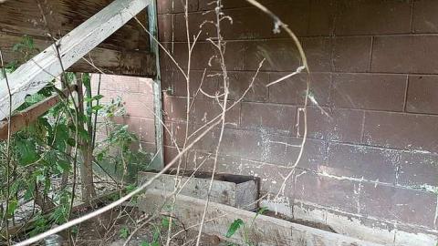 July 2017 - Another-on-Anderson13.jpg