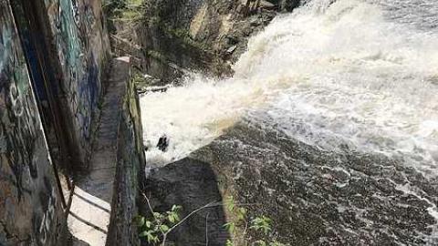 Photo from Summer 2017