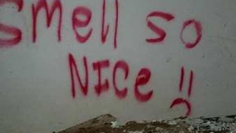 Paint Shop? - Paint-shop10.jpg