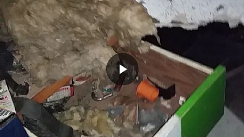 Paint Shop? - Paint-shop1.png