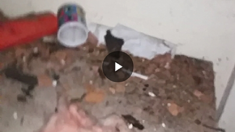 Paint Shop? - Paint-shop2.png