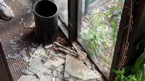 Photo from Paint Shop?