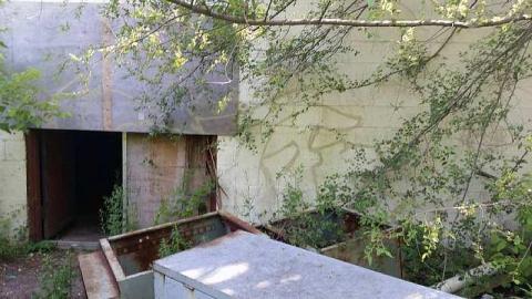 Photo from Paint Shop?