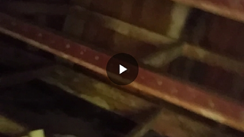 Photo from Paint Shop?