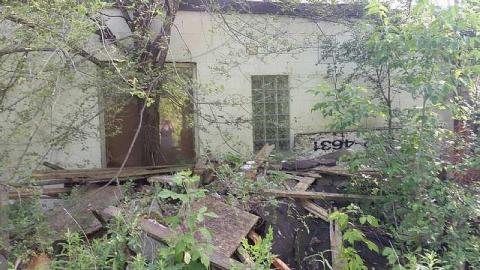 Paint Shop? - Paint-shop7.jpg