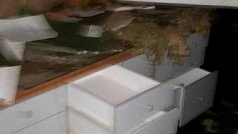 Paint Shop? - Paint-shop8.jpg