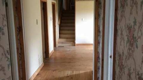 July 2017 - Moldy-407-Takeover47.jpg