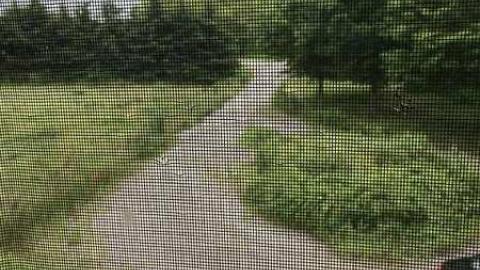 July 2017 - Moldy-407-Takeover50.jpg