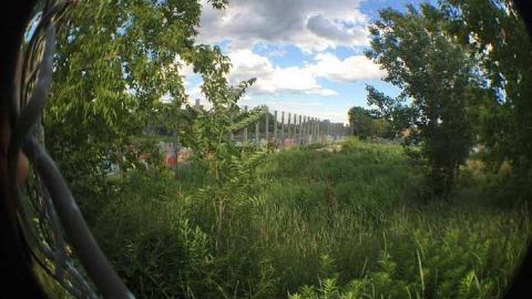 Linseed Oil - Linseed-Factory552.jpg