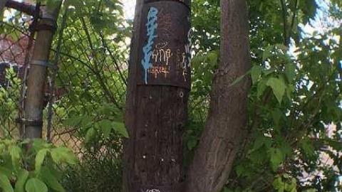 Linseed Oil - Linseed-Factory97.jpg