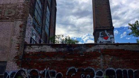 Linseed Oil - Linseed-Factory554.jpg