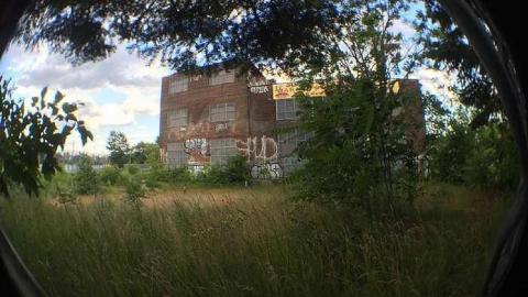 Linseed Oil - Linseed-Factory98.jpg