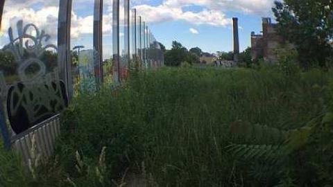 Linseed Oil - Linseed-Factory556.jpg