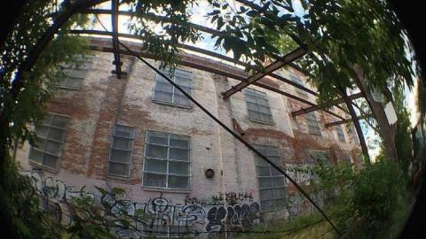 Linseed Oil - Linseed-Factory101.jpg