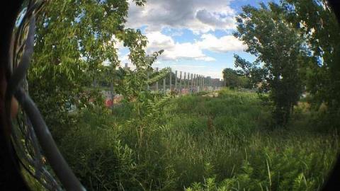 Linseed Oil - Linseed-Factory559.jpg