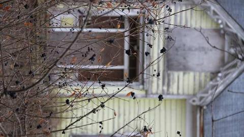 yellow farm house and barn  - IMG_3792.jpg