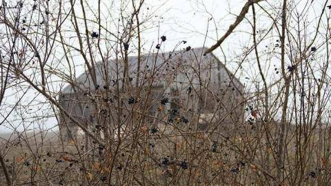 yellow farm house and barn  - IMG_3793.jpg