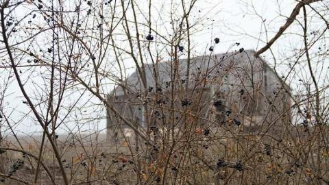 yellow farm house and barn  - IMG_3794.jpg