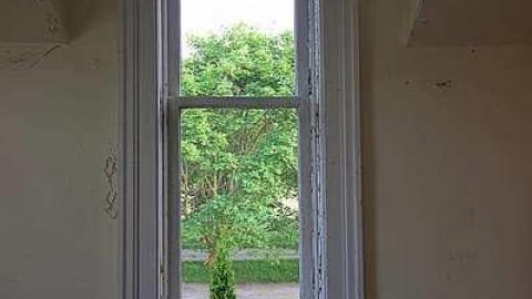 Cullen Gardens 3 - The-Prettiest-Street154.jpg