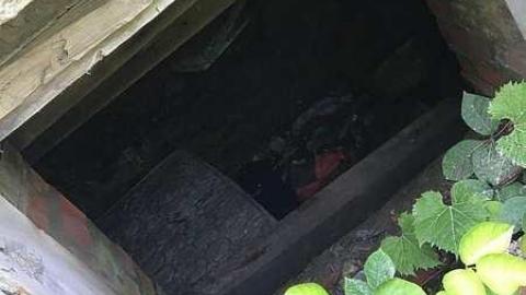 Half-burnt House - Lemieux-Island101.jpg