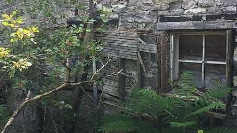Half-burnt House - Lemieux-Island109.jpg