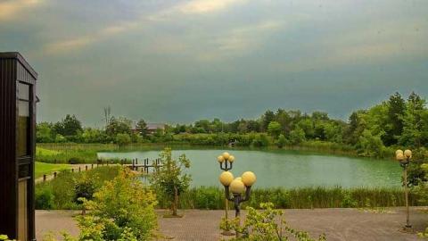  Oddville cover photo