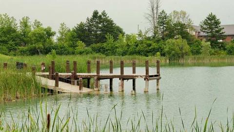 Photo from  Oddville