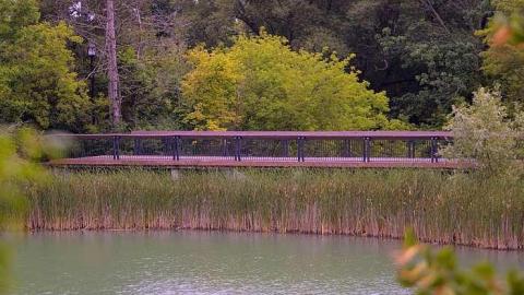  Oddville - Townsend-(galleries)13.jpg