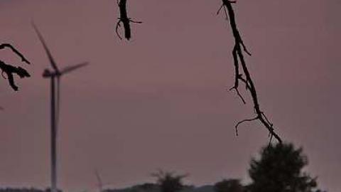 Photo from Cross-ing Paths