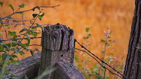 Photo from Cross-ing Paths