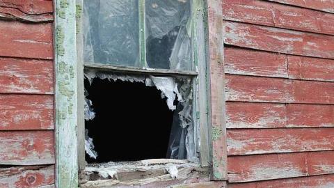 Marijuana Cop - Richmond Hill, Ontario