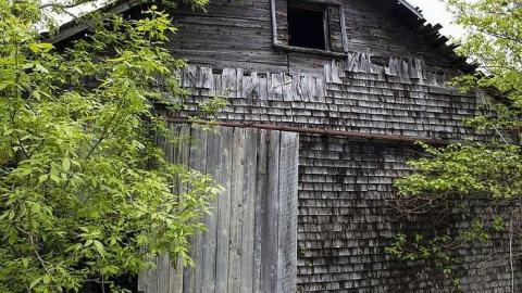 Super Burger - q-shed.jpg