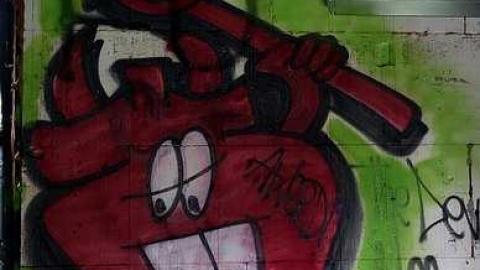 Trashed Beauty '17 - Pefferlaw-Shining-House156.jpg