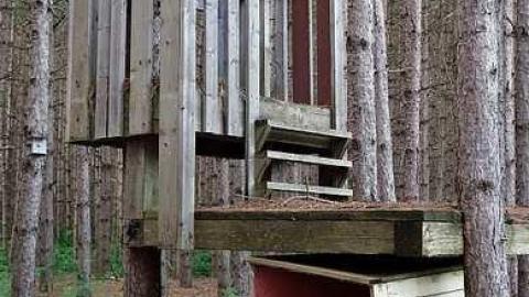 Trashed Beauty '17 - Pefferlaw-Shining-House157.jpg