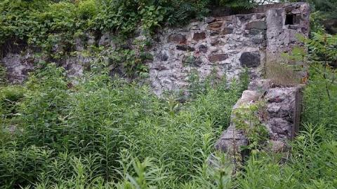 Trashed Beauty '17 - Pefferlaw-Shining-House158.jpg