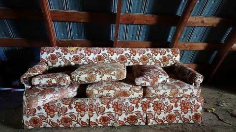 Barn Visit '17 - DSC03070.jpg