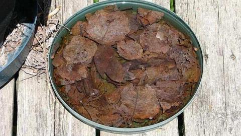 Threesome Anyone? - Brampton-Threesome42.jpg