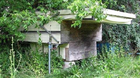 Threesome Anyone? - Brampton-Threesome10.jpg