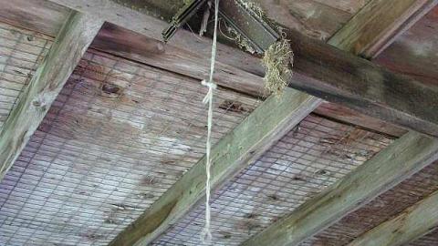 Threesome Anyone? - Brampton-Threesome80.jpg