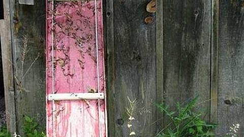 Threesome Anyone? - Brampton-Threesome12.jpg