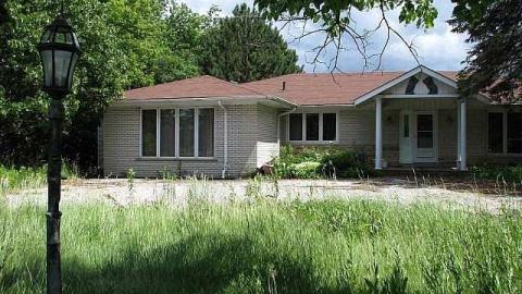 Threesome Anyone? - Brampton-Threesome85.jpg