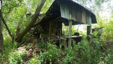 Summer of 17 - t-20170727_135228.jpg