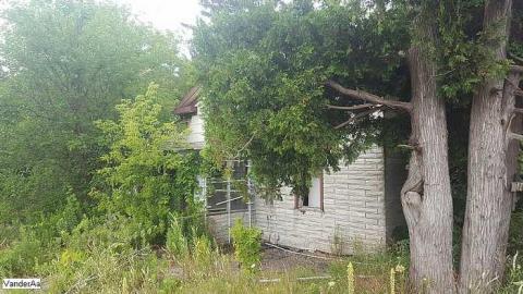 Summer of 17 - n-20170727_140240.jpg