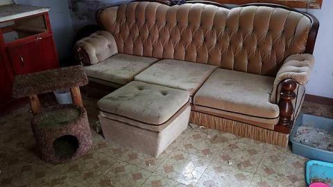 Change For A Better Brampton - Brampton-Threesome41.jpg