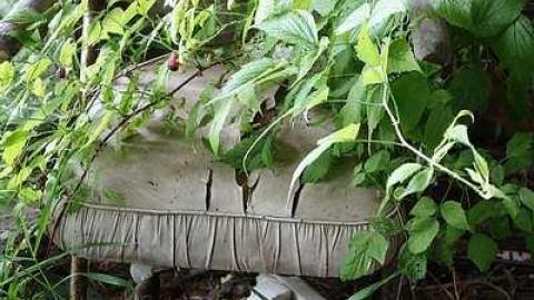 Avenge The Deaths '17 - Kawartha-Downs-Speedway-House102.jpg