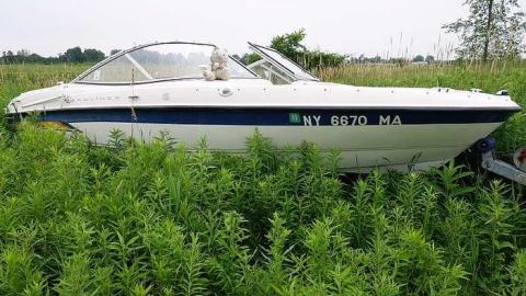 Avenge The Deaths '17 - Kawartha-Downs-Speedway-House103.jpg