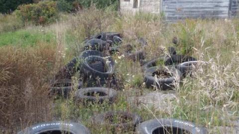 Photo from dustonmybrain