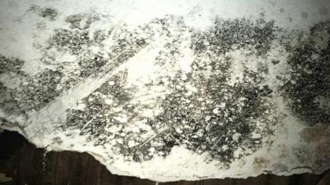 Photo from Night July 2017