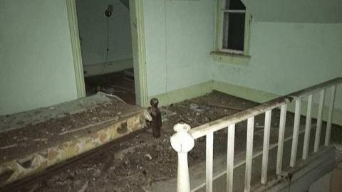 Night July 2017 - IMG_1693.jpg