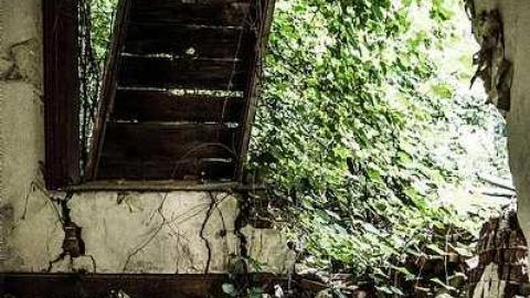 Photo from July 2017